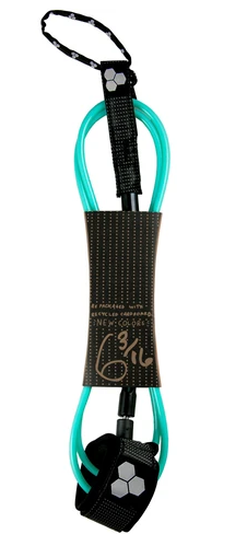 DANE COMP LEASH