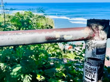 Travel Gear – Alohasurfmanly