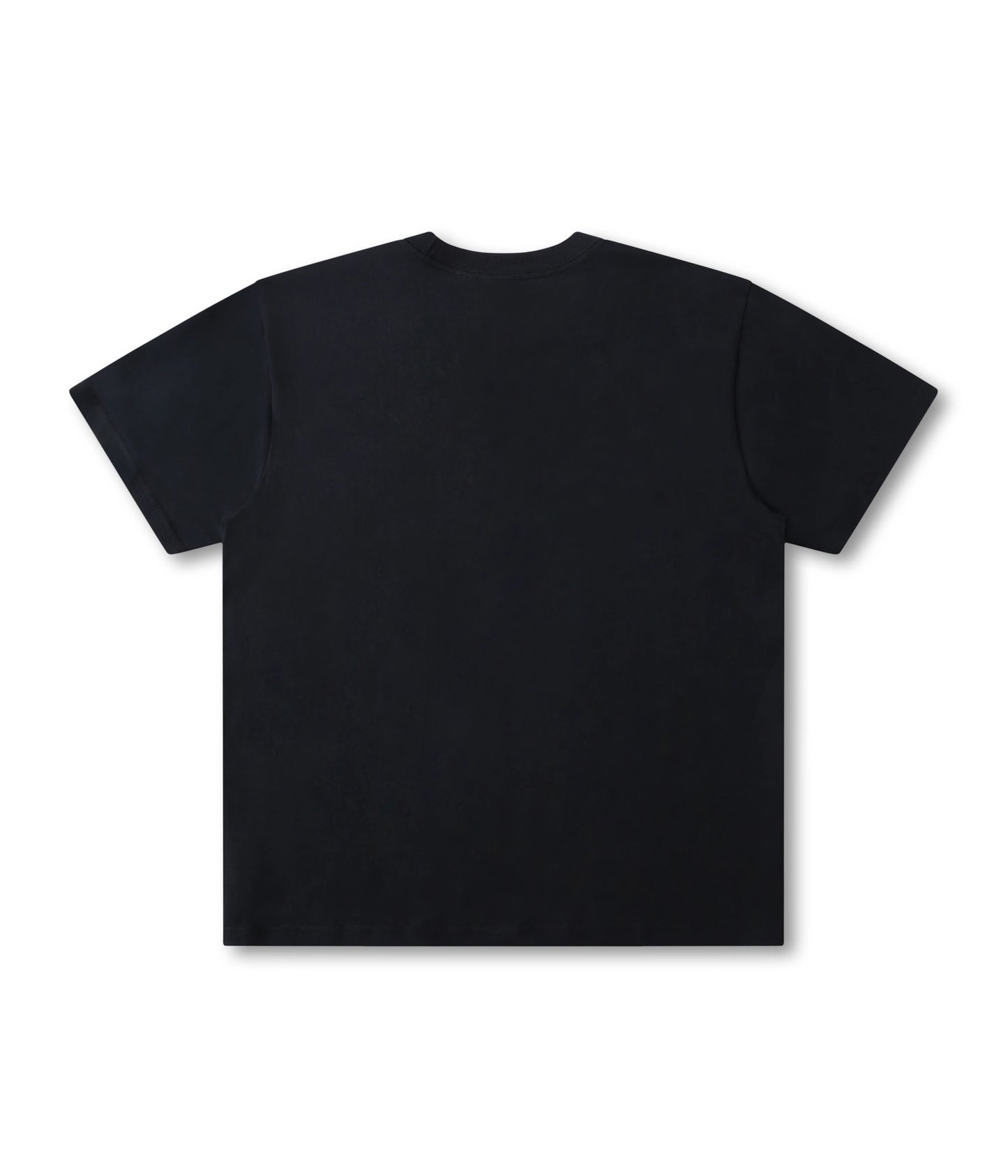 Former Shunning T-Shirt - Washed Black