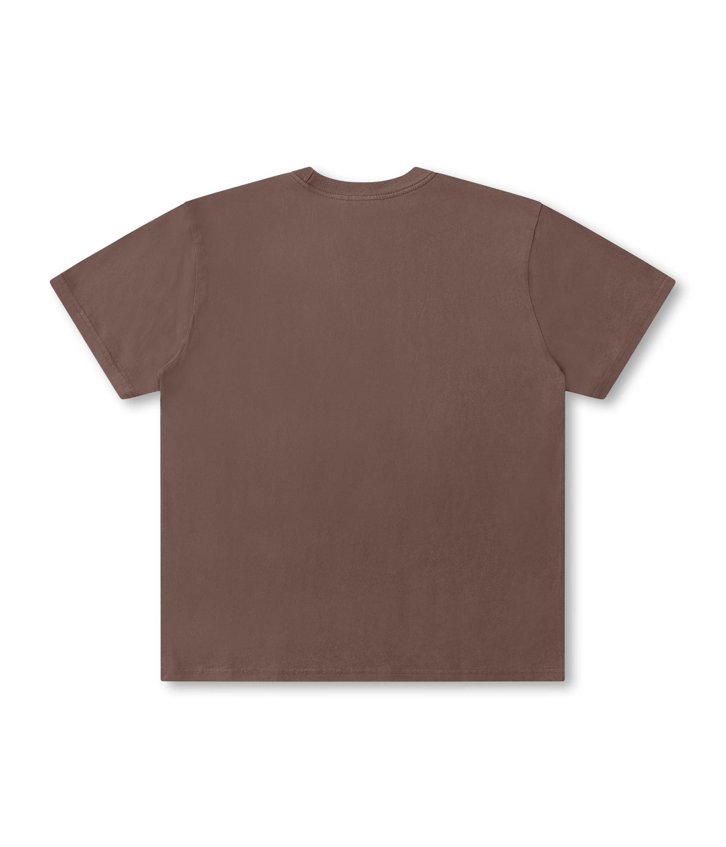 Former Proscription T-Shirt - Washed Choc